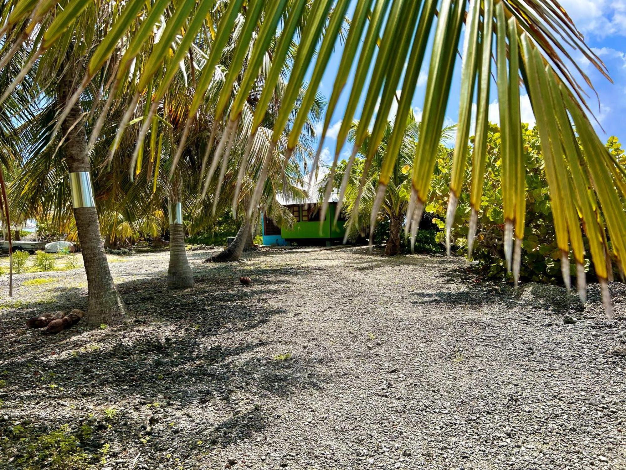 Rangiroa Bliss Hotell Tiputa Exteriör bild