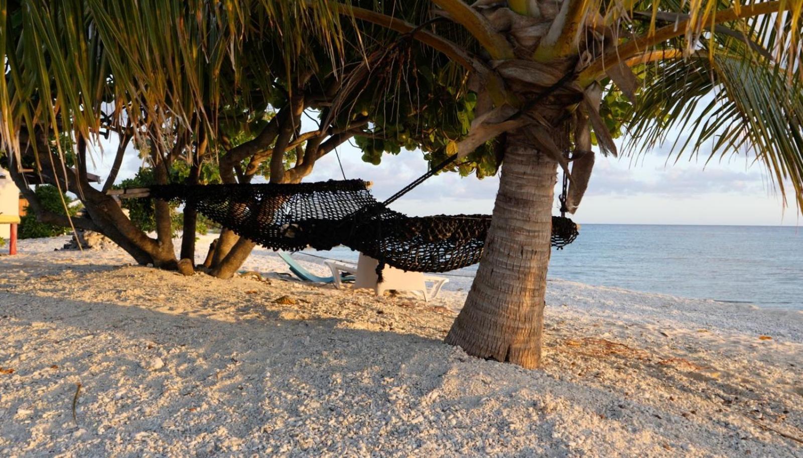 Rangiroa Bliss Hotell Tiputa Exteriör bild