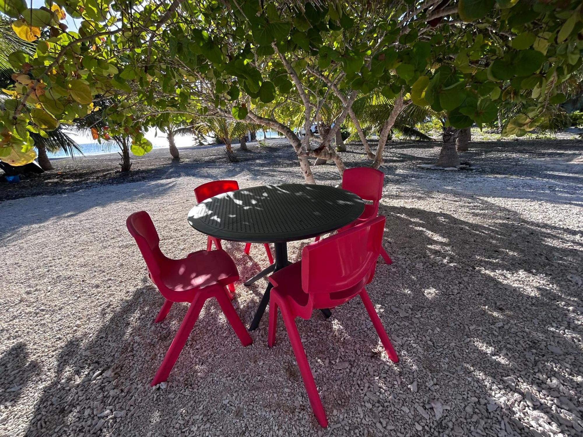 Rangiroa Bliss Hotell Tiputa Exteriör bild